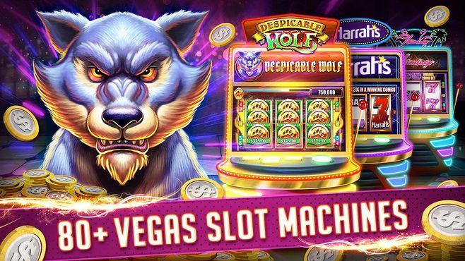 lodi 646 casino login